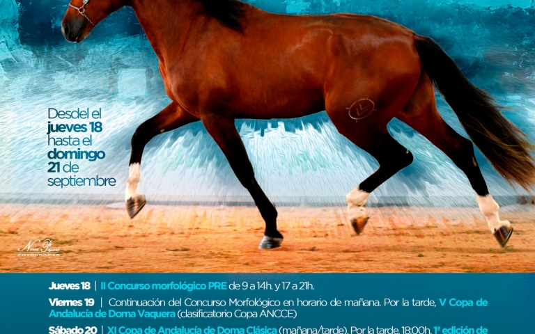 CONCURSO-HIPICO-CABALLOS-2025VFDU-programacion-VF-mismocaballomod-VFD-con-patrocinadoresVFD